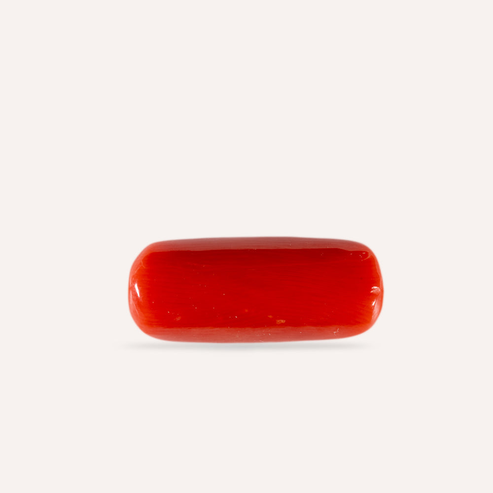 NATURAL CORAL(MOONGA)-5.51CARAT