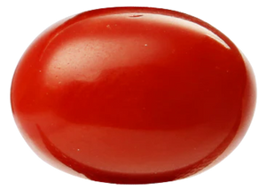 Coral GIA Certified