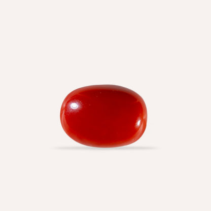 NATURAL CORAL(MOONGA)-19.64CARAT