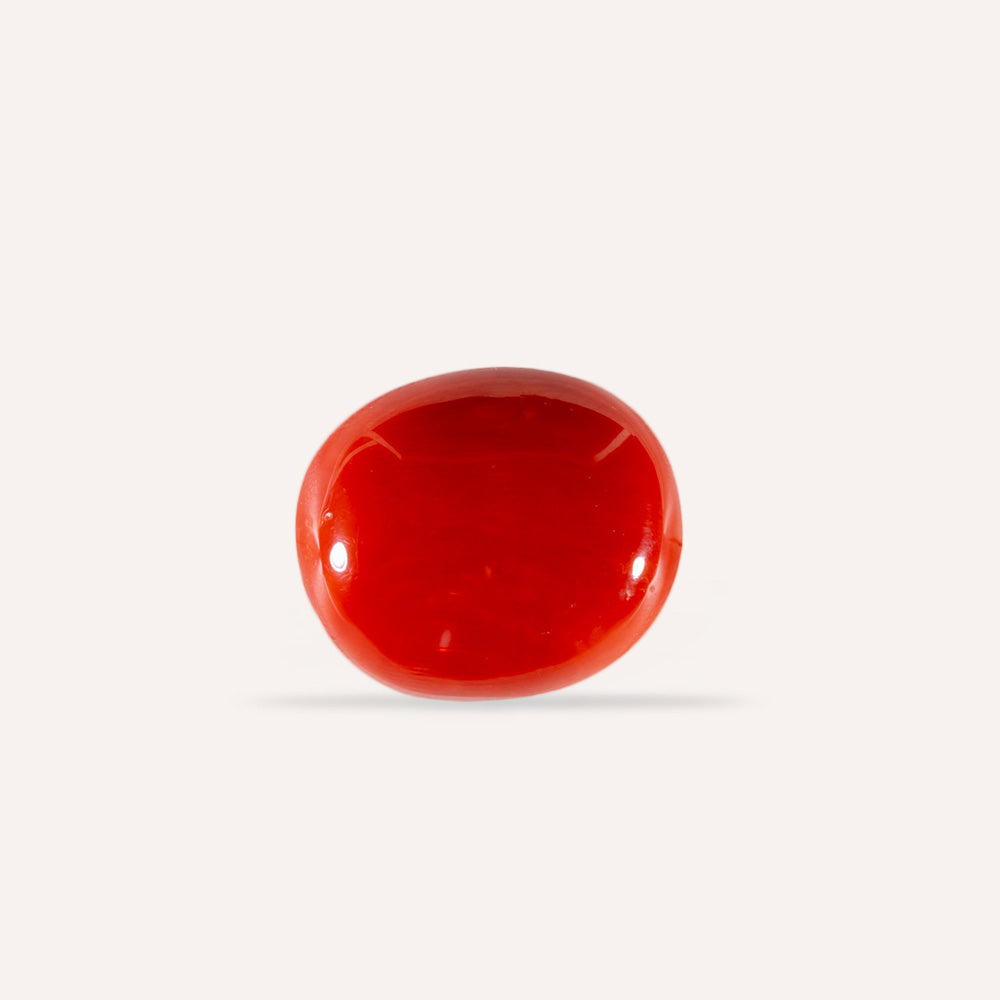 NATURAL CORAL(MOONGA)-10.73CARAT