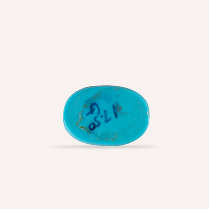 NATURAL TURQUOISE(FIROZA)-17.49CARAT
