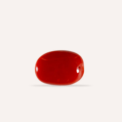 NATURAL CORAL(MOONGA)-19.64CARAT