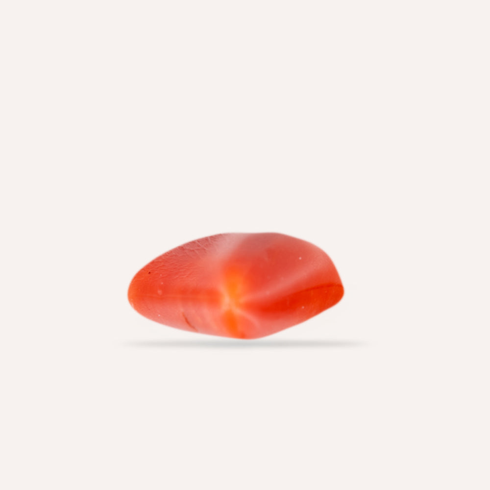 NATURAL CORAL(MOONGA)-6.17CARAT