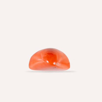 NATURAL CORAL(MOONGA)-13.13CARAT