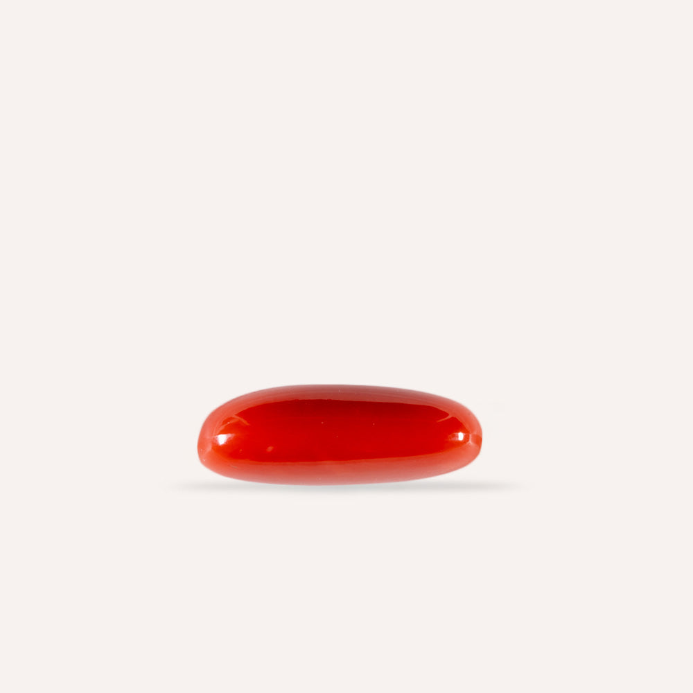NATURAL CORAL(MOONGA)-10.74CARAT