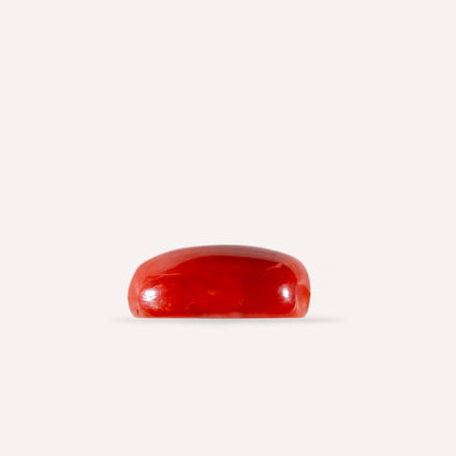 NATURAL CORAL(MOONGA)-11.08CARAT