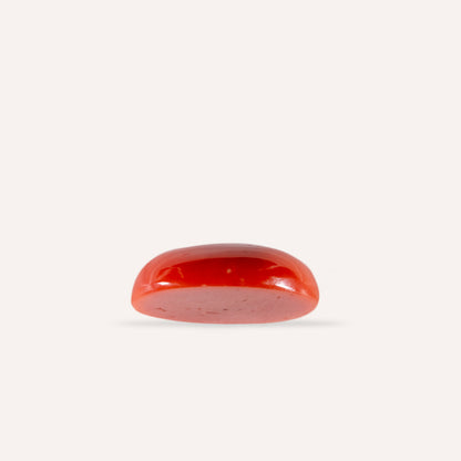 NATURAL CORAL(MOONGA)-10.73CARAT