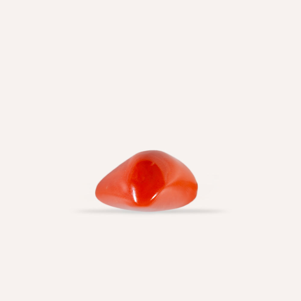 NATURAL CORAL(MOONGA)-5.30CARAT