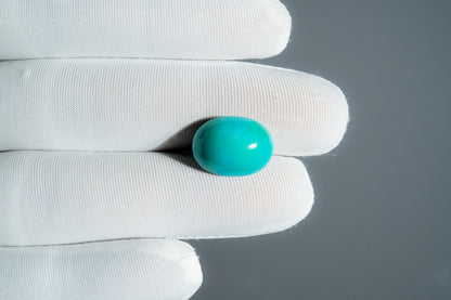 NATURAL TURQUOISE(FIROZA)-9.43CARAT