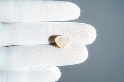 NATURAL PEARL-9.90CARAT