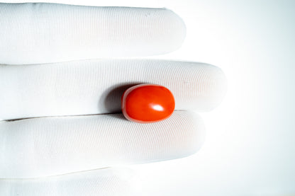NATURAL CORAL(MOONGA)-19.64CARAT