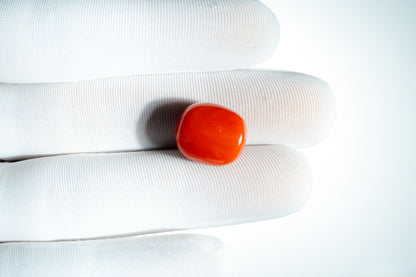 NATURAL CORAL(MOONGA)-18.12CARAT