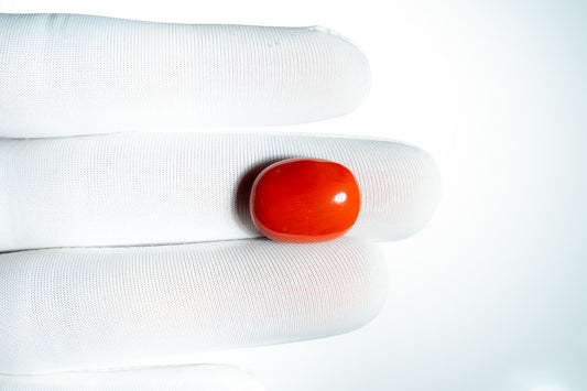 NATURAL CORAL(MOONGA)-13.97CARAT