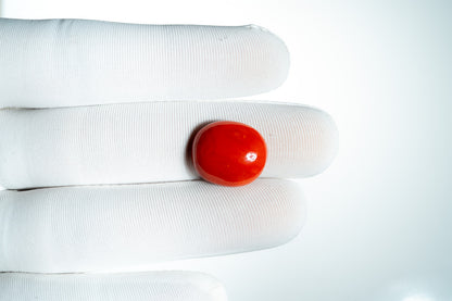 NATURAL CORAL(MOONGA)-10.73CARAT