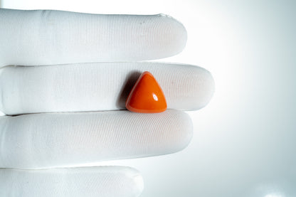 NATURAL CORAL(MOONGA)-13.13CARAT